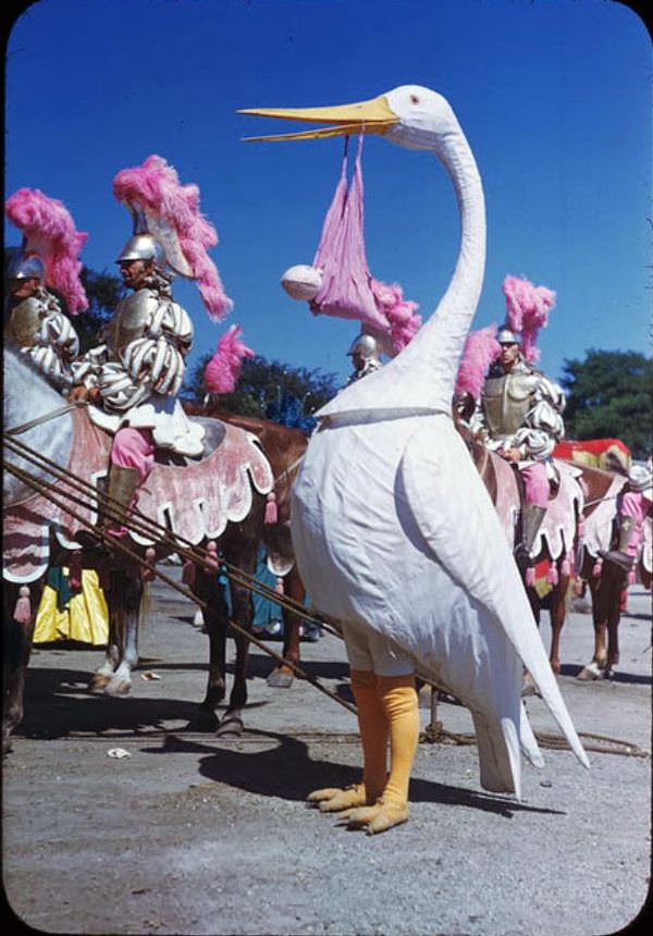 Life Under the Big Top: Ringling Bros. Performers in 1940s Chicago