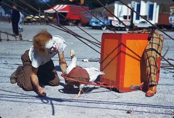 Life Under the Big Top: Ringling Bros. Performers in 1940s Chicago