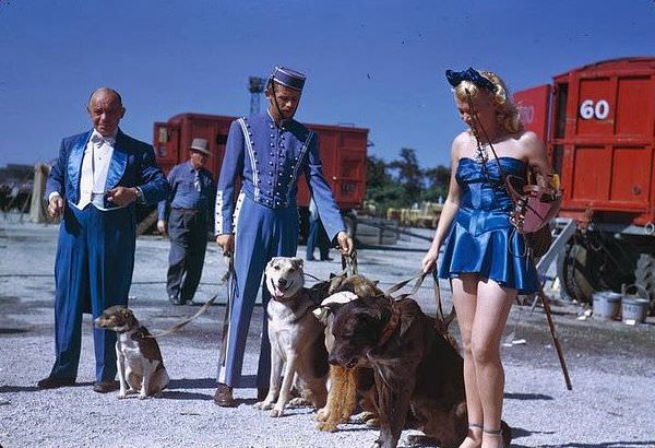 Life Under the Big Top: Ringling Bros. Performers in 1940s Chicago