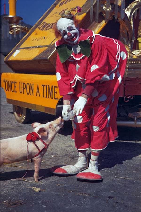 Life Under the Big Top: Ringling Bros. Performers in 1940s Chicago