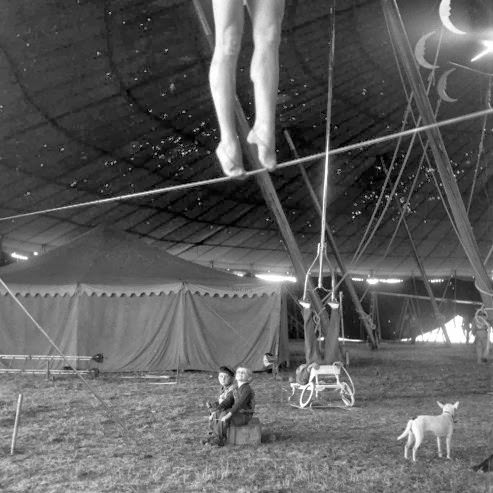 Under the Big Top in 1949: A Look at a Day in the Life of the Ringling Brothers Circus