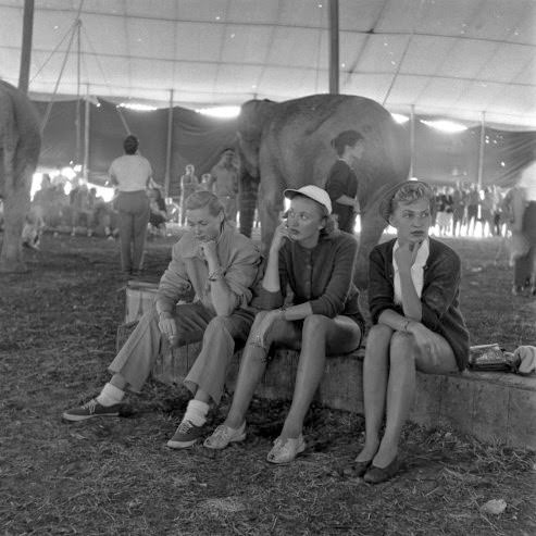 Under the Big Top in 1949: A Look at a Day in the Life of the Ringling Brothers Circus