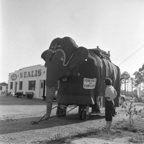 Under the Big Top in 1949: A Look at a Day in the Life of the Ringling Brothers Circus