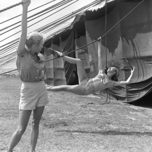 Under the Big Top in 1949: A Look at a Day in the Life of the Ringling Brothers Circus