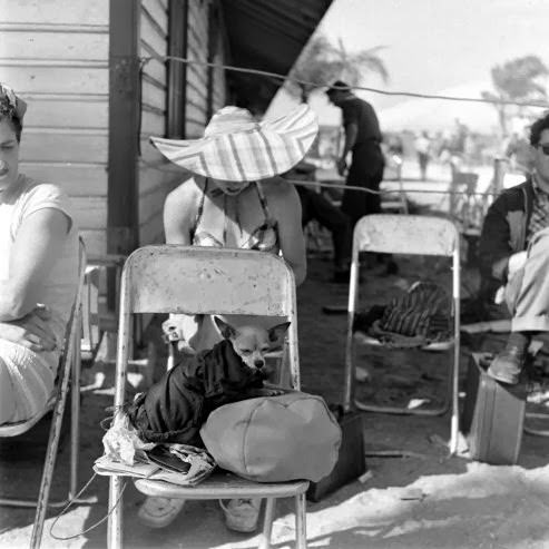 Under the Big Top in 1949: A Look at a Day in the Life of the Ringling Brothers Circus