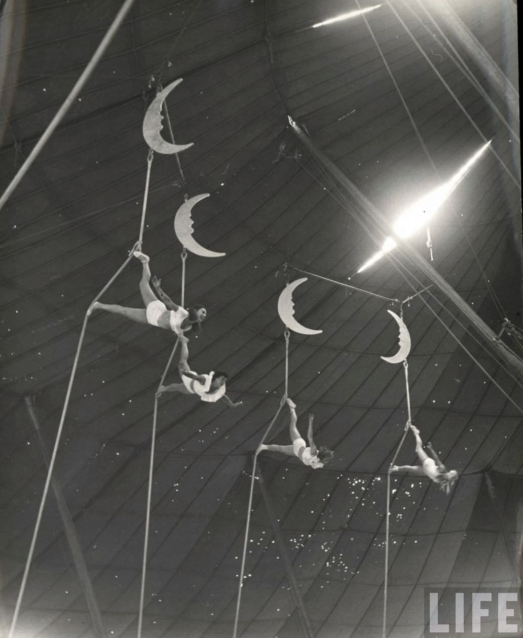 High Wires and High-Waisted Shorts: The Daily Life of a Circus Girl in 1949 Sarasota