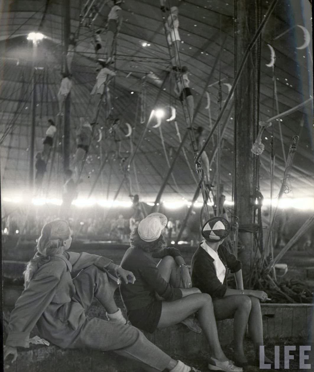 High Wires and High-Waisted Shorts: The Daily Life of a Circus Girl in 1949 Sarasota