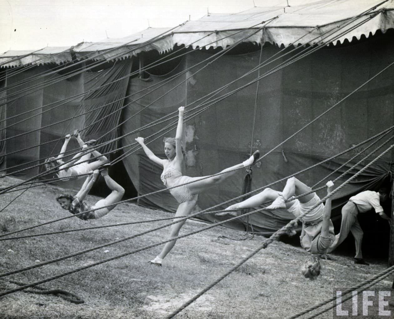 High Wires and High-Waisted Shorts: The Daily Life of a Circus Girl in 1949 Sarasota