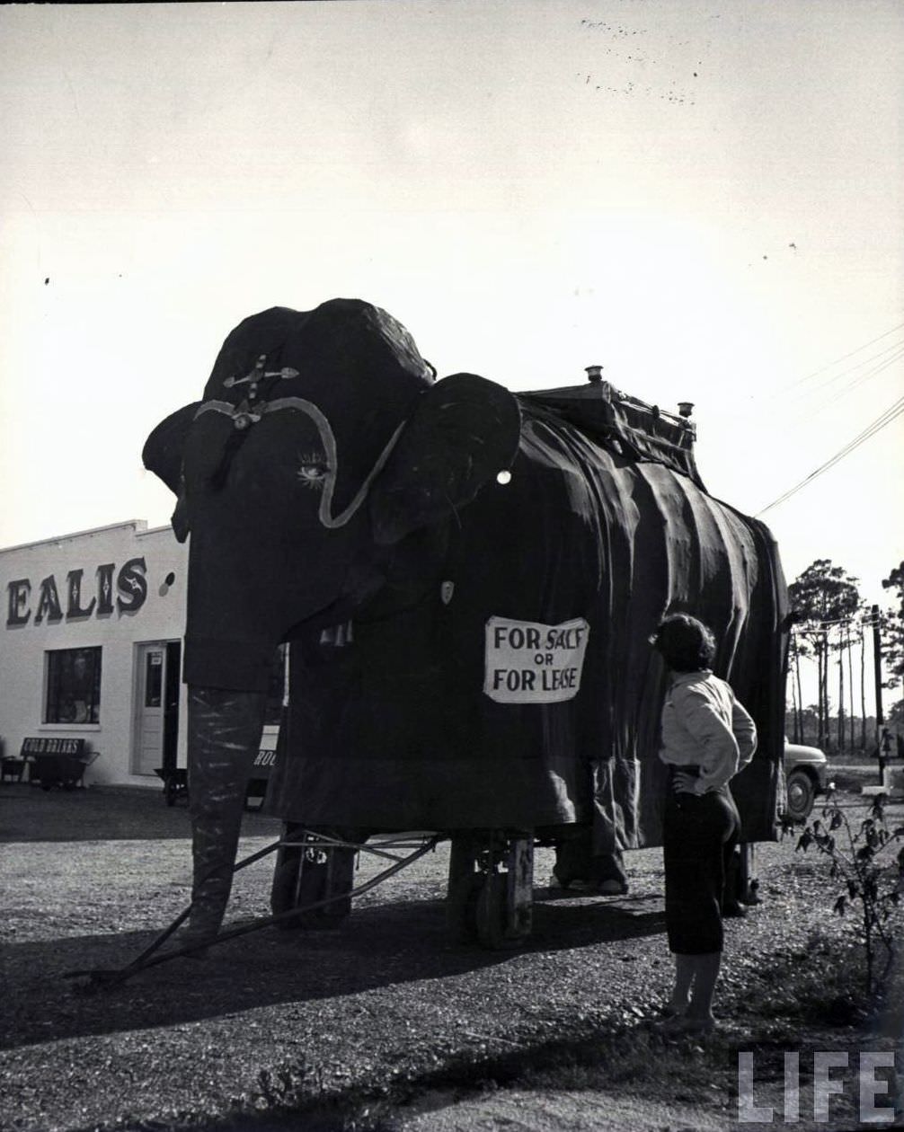 High Wires and High-Waisted Shorts: The Daily Life of a Circus Girl in 1949 Sarasota