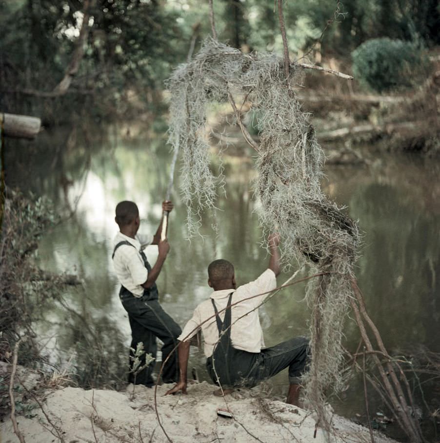 Life Under Segregation in the 1950s American South through the Lens of Gordon Parks