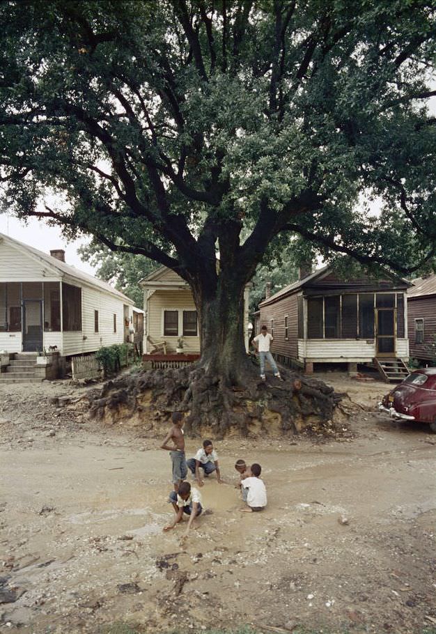 Life Under Segregation in the 1950s American South through the Lens of Gordon Parks