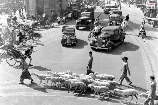 At the end of the 1940s in the 20th century, despite Shanghai remaining China’s number one city, the theme of Shanghai during this time was of social unrest/turmoil. Strikes, civil war, and inflation plagued the city of Shanghai. Photo is of 1947 June 18, on the street from the central business district to the Bund public markets, a flock of sheep crossing the street causes road congestion in the morning.