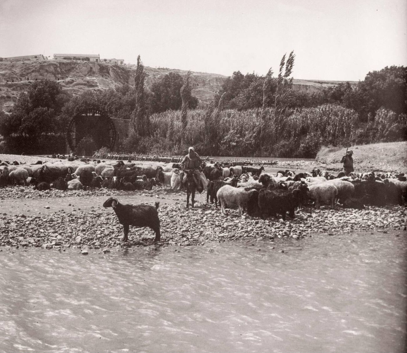 Hama on the river Orontes, Syria, 1943.