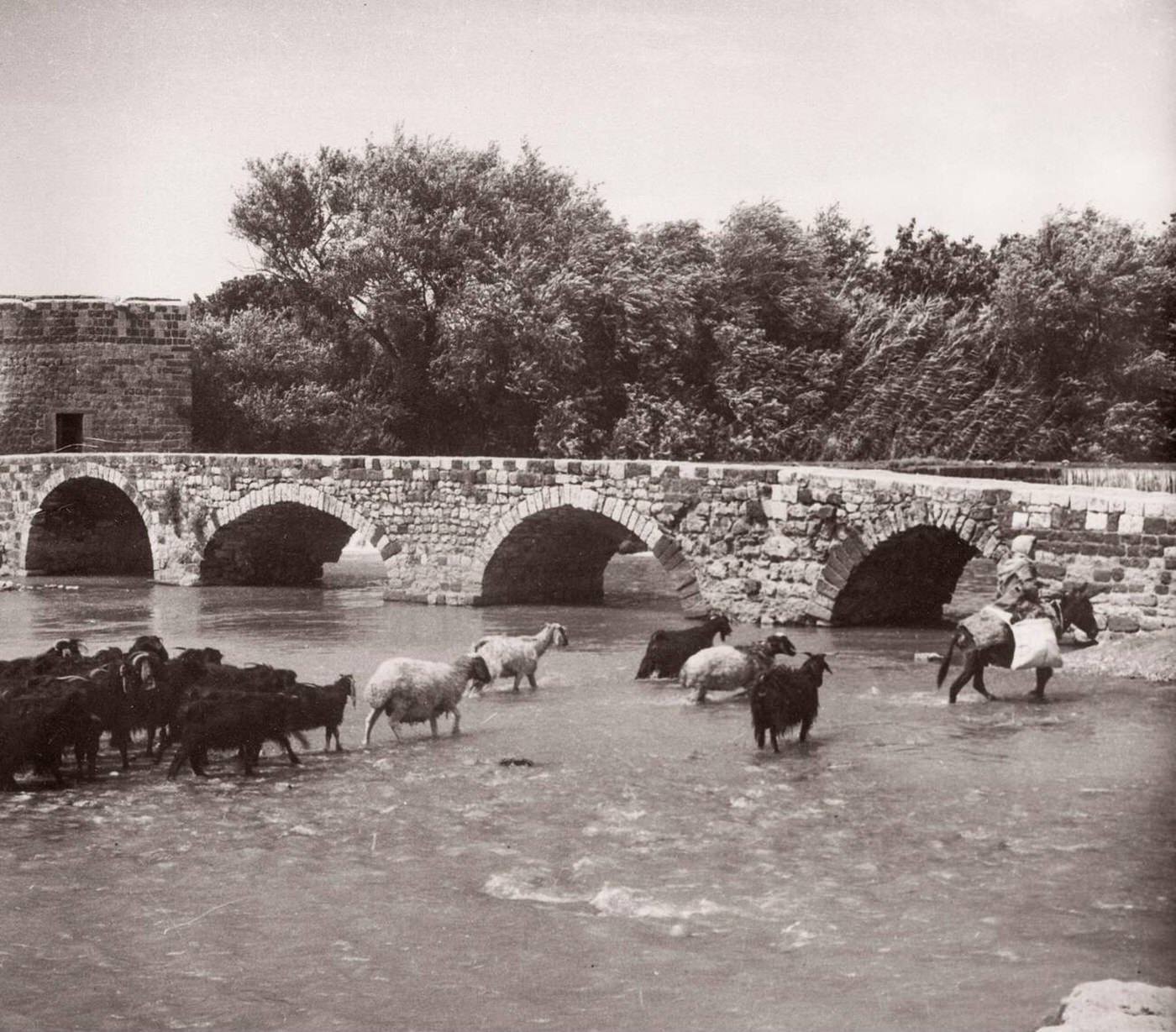 Hama on the river Orontes, Syria, 1943.
