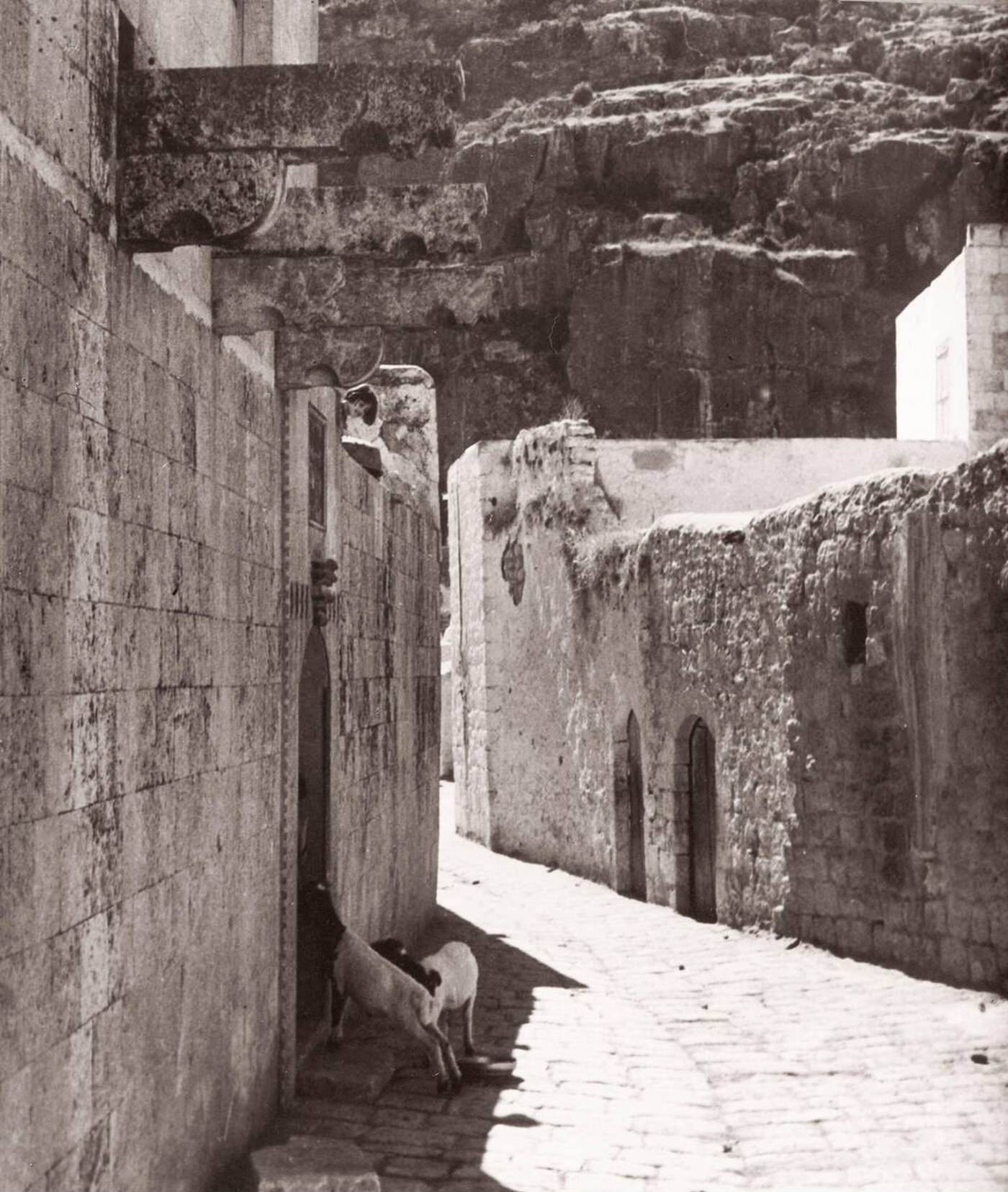 Darkouch on the River Orontes, Syria, 1843.