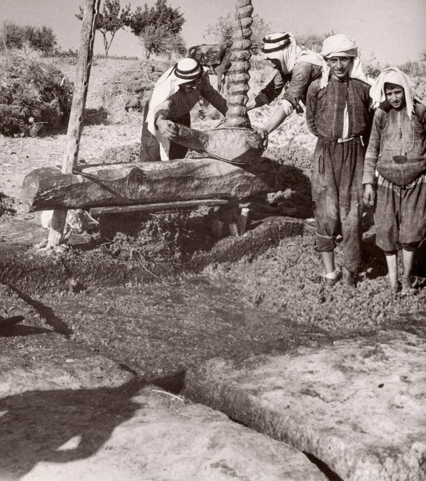 Boiling grapes to make Arak liquor, Syria, 1943.