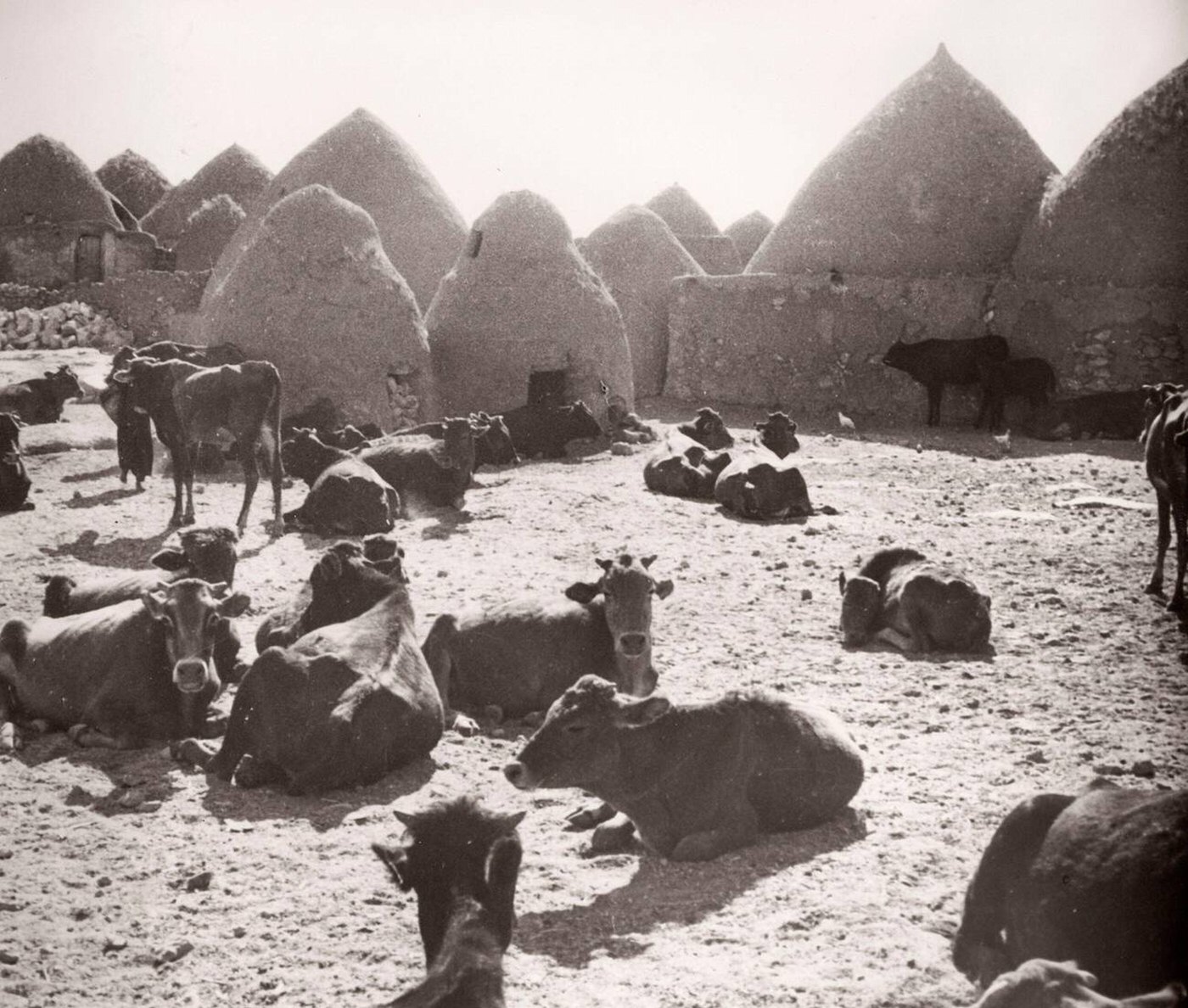 Village with traditional mud beehive houses in Kafer or Kafr Halab, Syria, 1943.