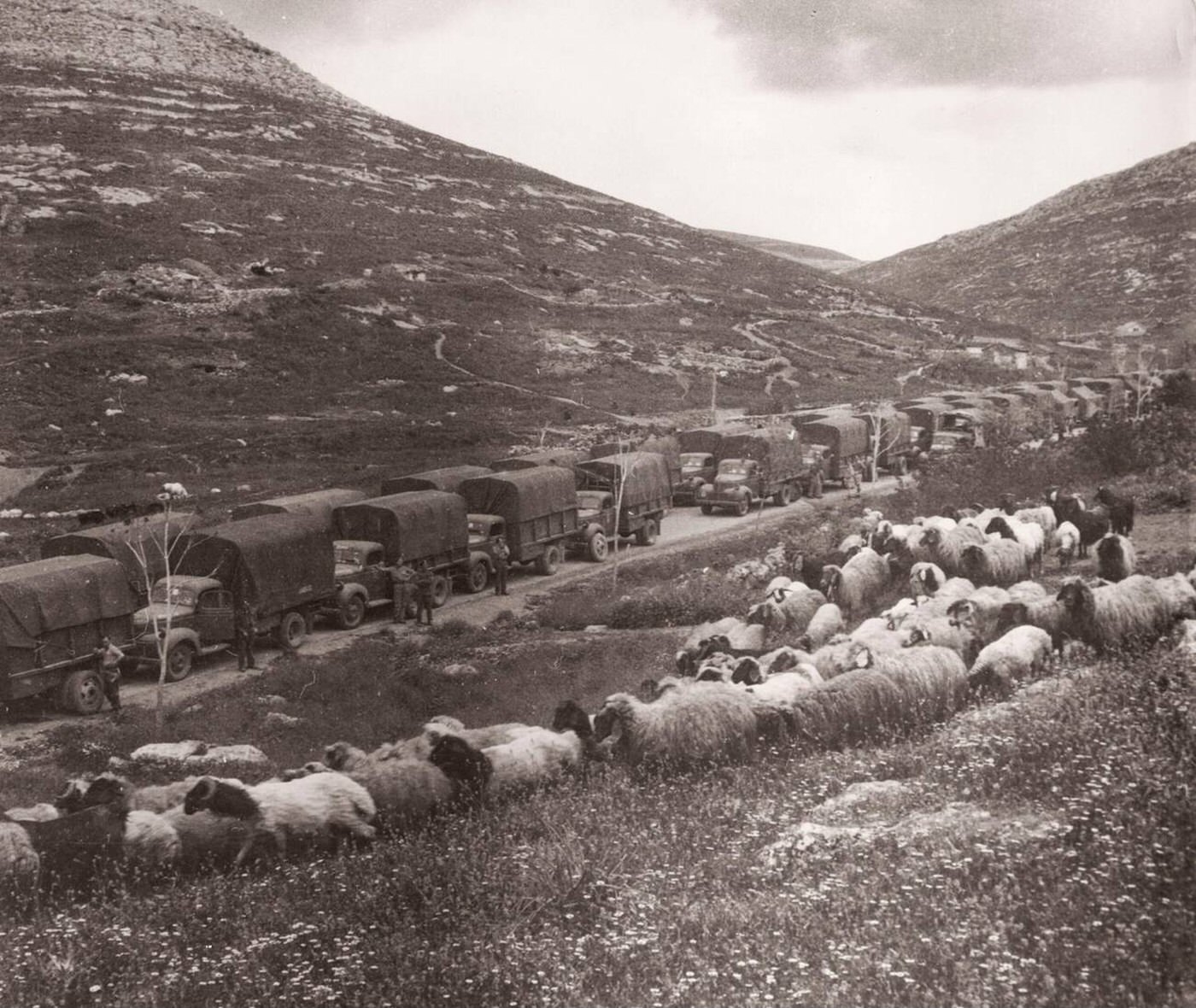 Supply convoy of aid inside Turkish territory near the Syria, Turkey border, 1943.
