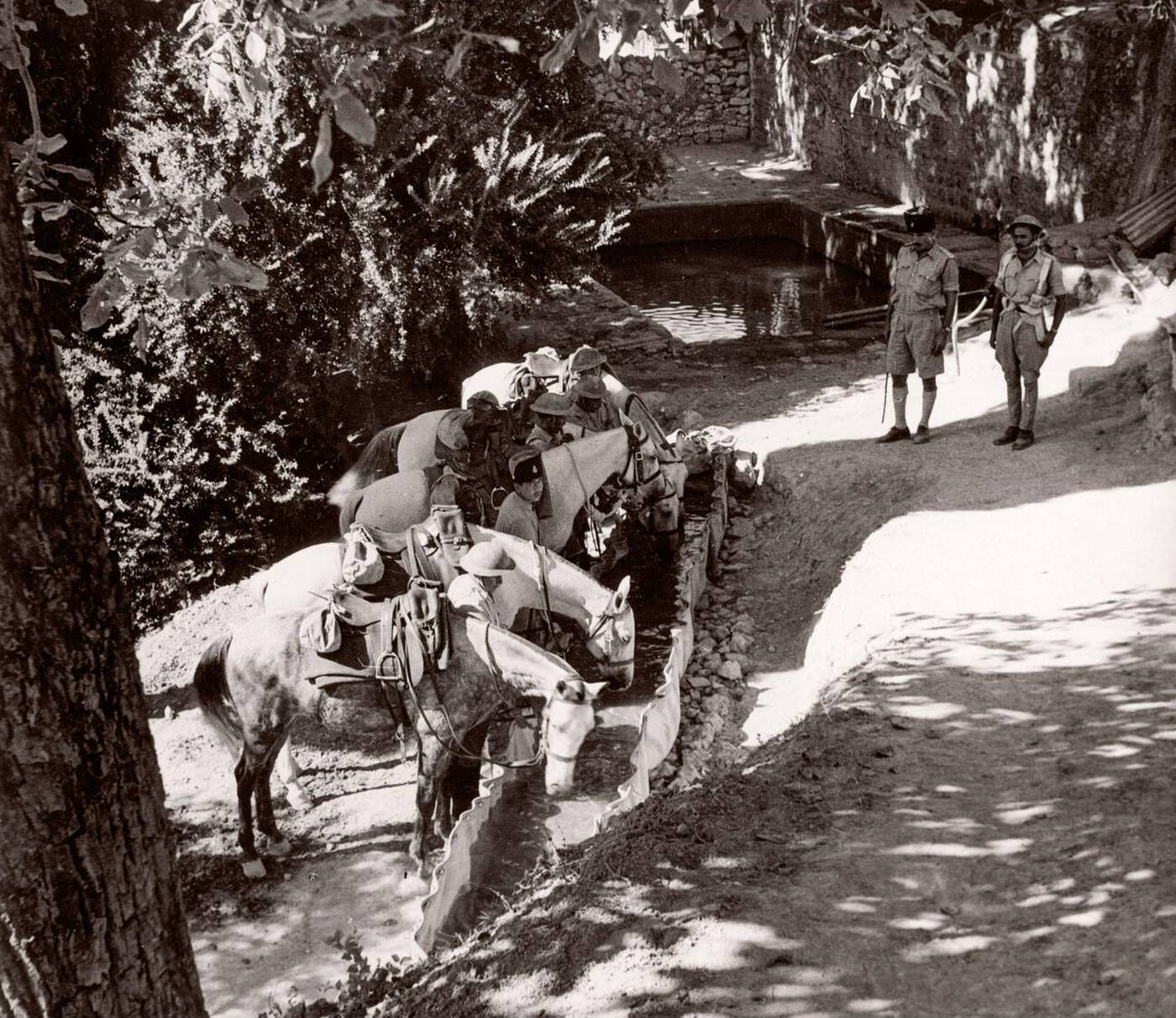 Trans-Jordanian Frontier Force TJFF army regiment, Syria, 1943.