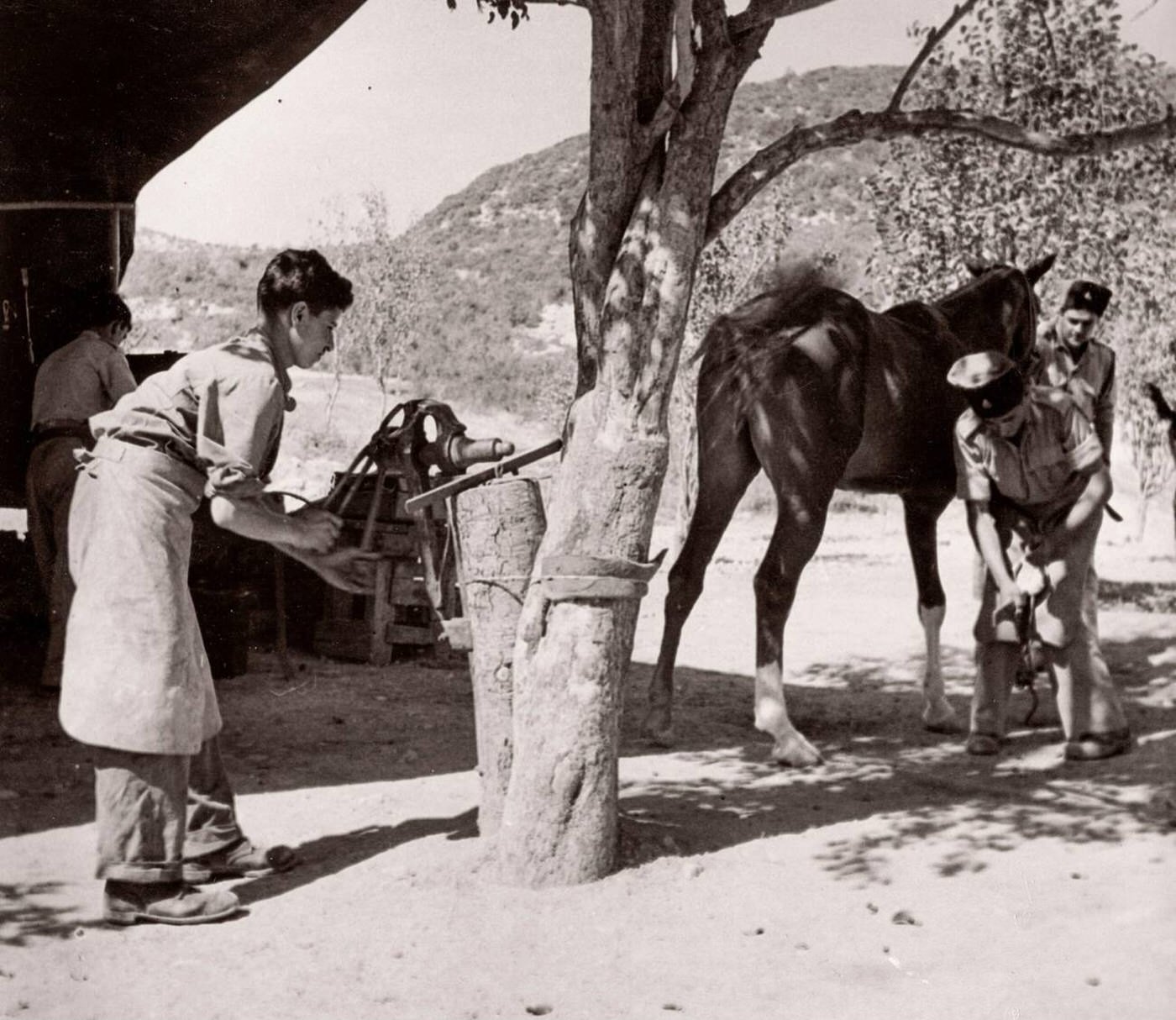 Trans-Jordanian Frontier Force TJFF army regiment, Syria, 1943.