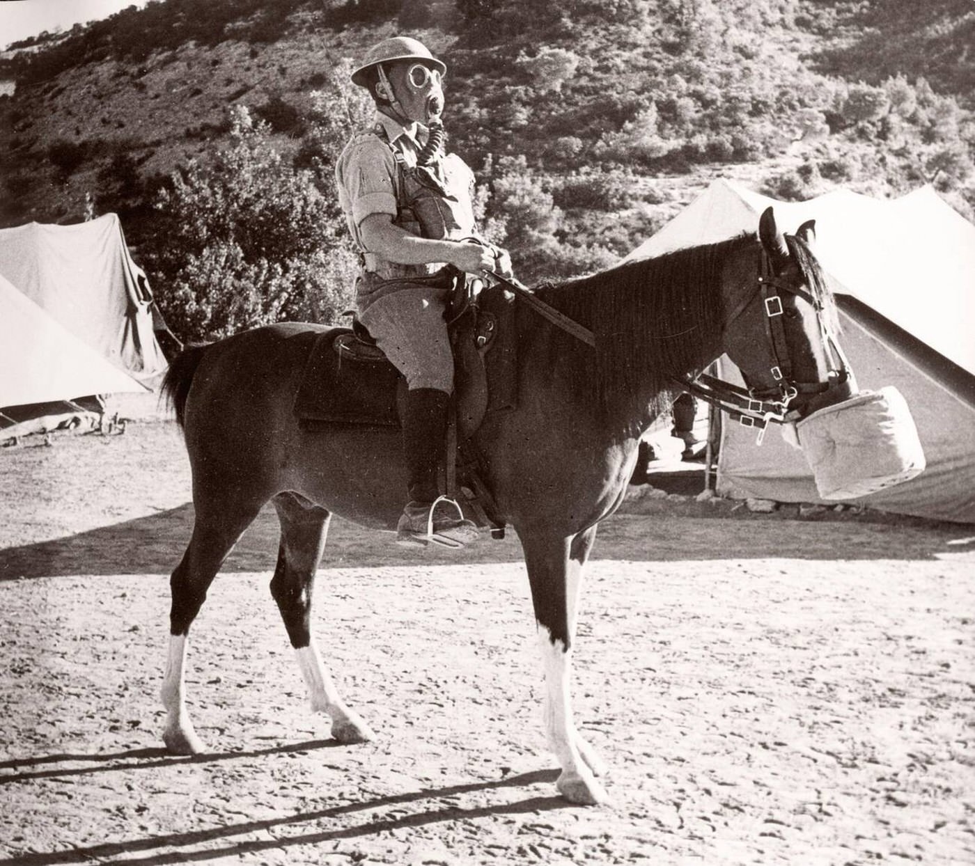 Soldier and horse both wearing a gas mask in the Trans-Jordanian Frontier Force TJFF army regiment, Syria, 1943.