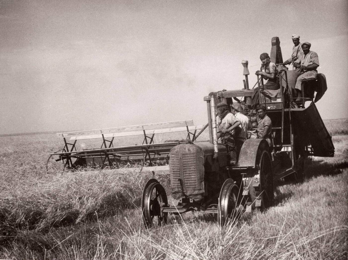 Reaping crops with a lend lease combine harvester in Kamechlie, Syria, 1943.