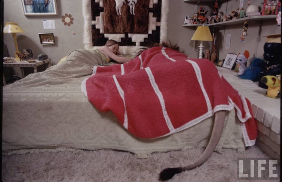 Sleeping with a Lion: A Detailed Look at the Bizarre and Dangerous Home Life of Tippi Hedren and a Teenage Melanie Griffith