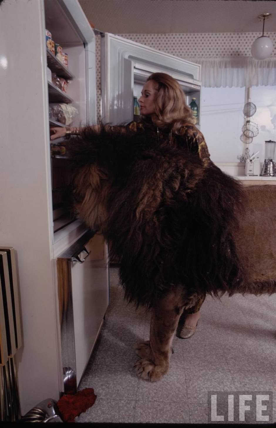 Sleeping with a Lion: A Detailed Look at the Bizarre and Dangerous Home Life of Tippi Hedren and a Teenage Melanie Griffith
