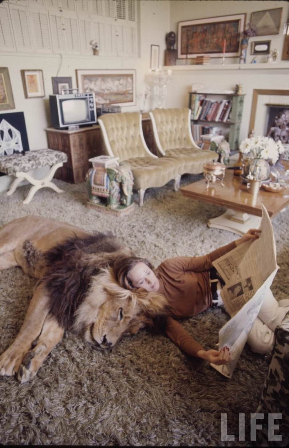 Sleeping with a Lion: A Detailed Look at the Bizarre and Dangerous Home Life of Tippi Hedren and a Teenage Melanie Griffith