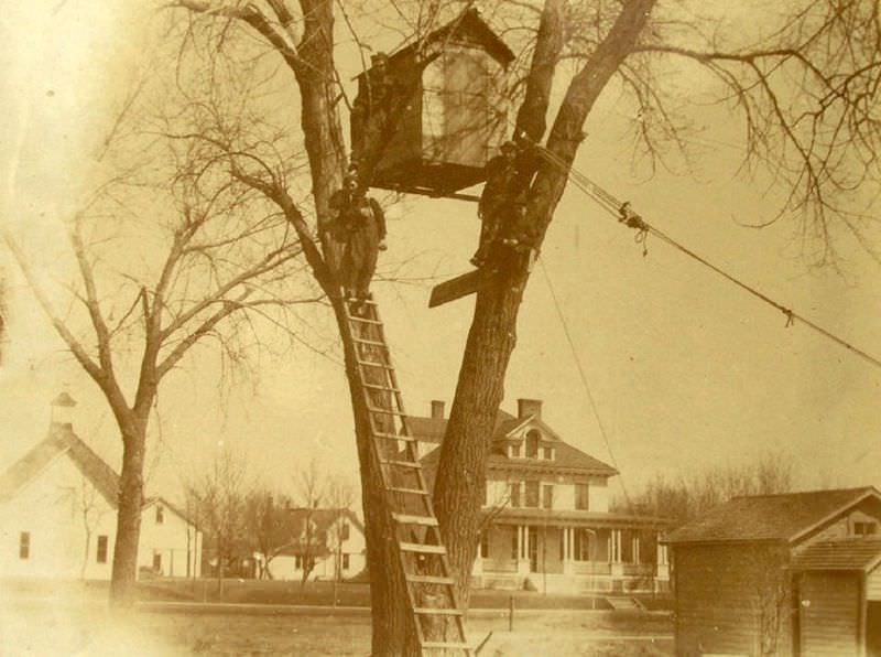 Tree house, circa 1900s.