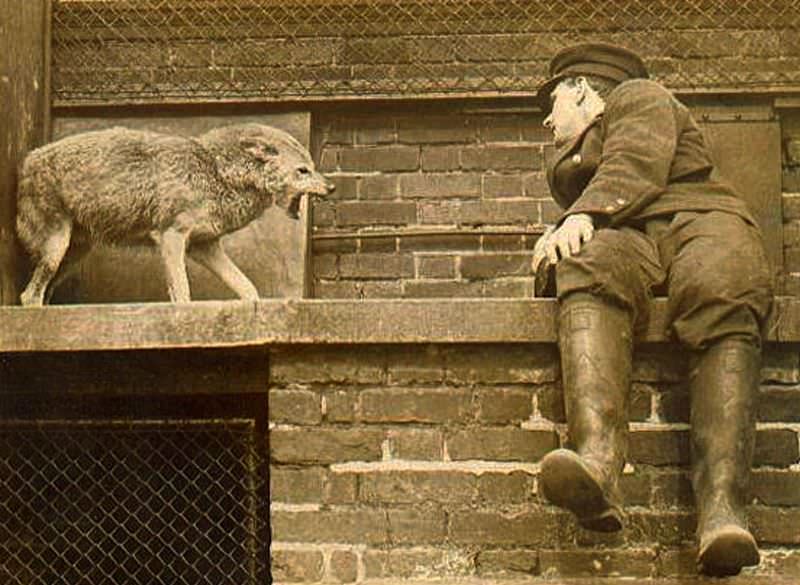 Face to face, circa 1910s.