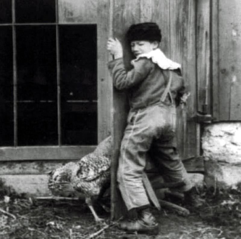 Chicken, circa 1918.
