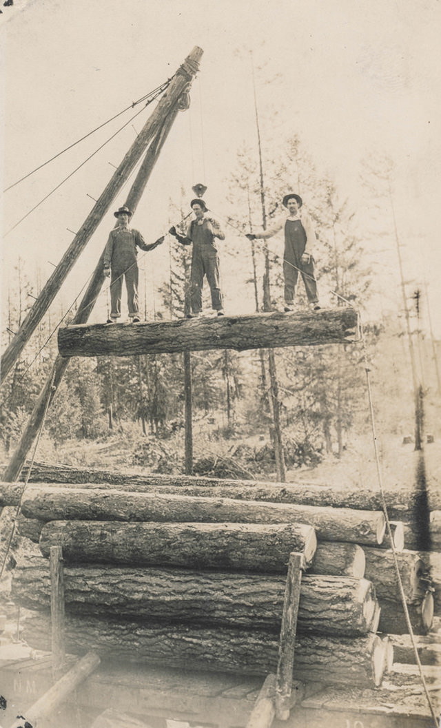 Men standing on a hanging log.