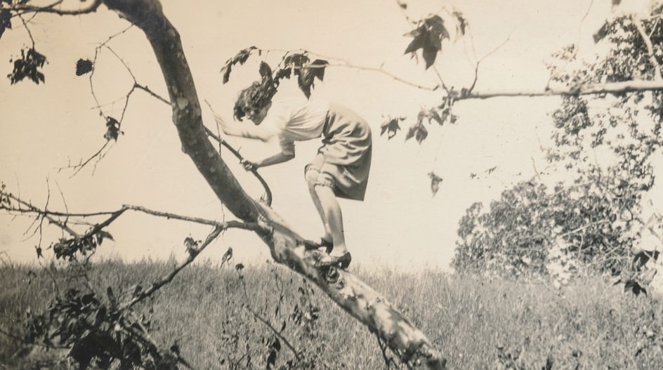 Woman climbing a tree with pumps.