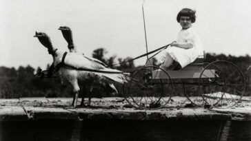 Weirdest Historical Photos