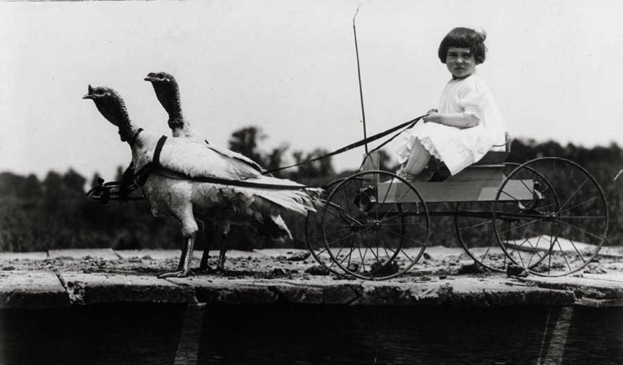 Weirdest Historical Photos