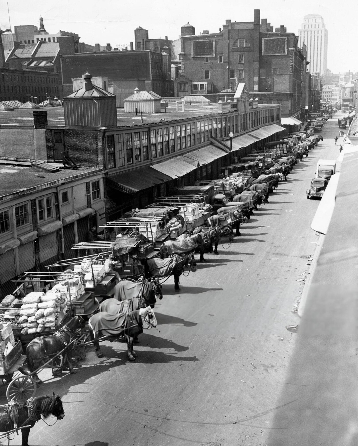 Horses wait in the market district of Boston, 1948.