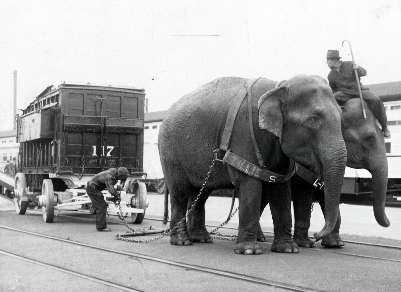 Elephants unload circus trucks and cages as the Ringling Bros. and Barnum & Bailey Circus arrives at the Rutherford Avenue rail yards in Boston, 1940.