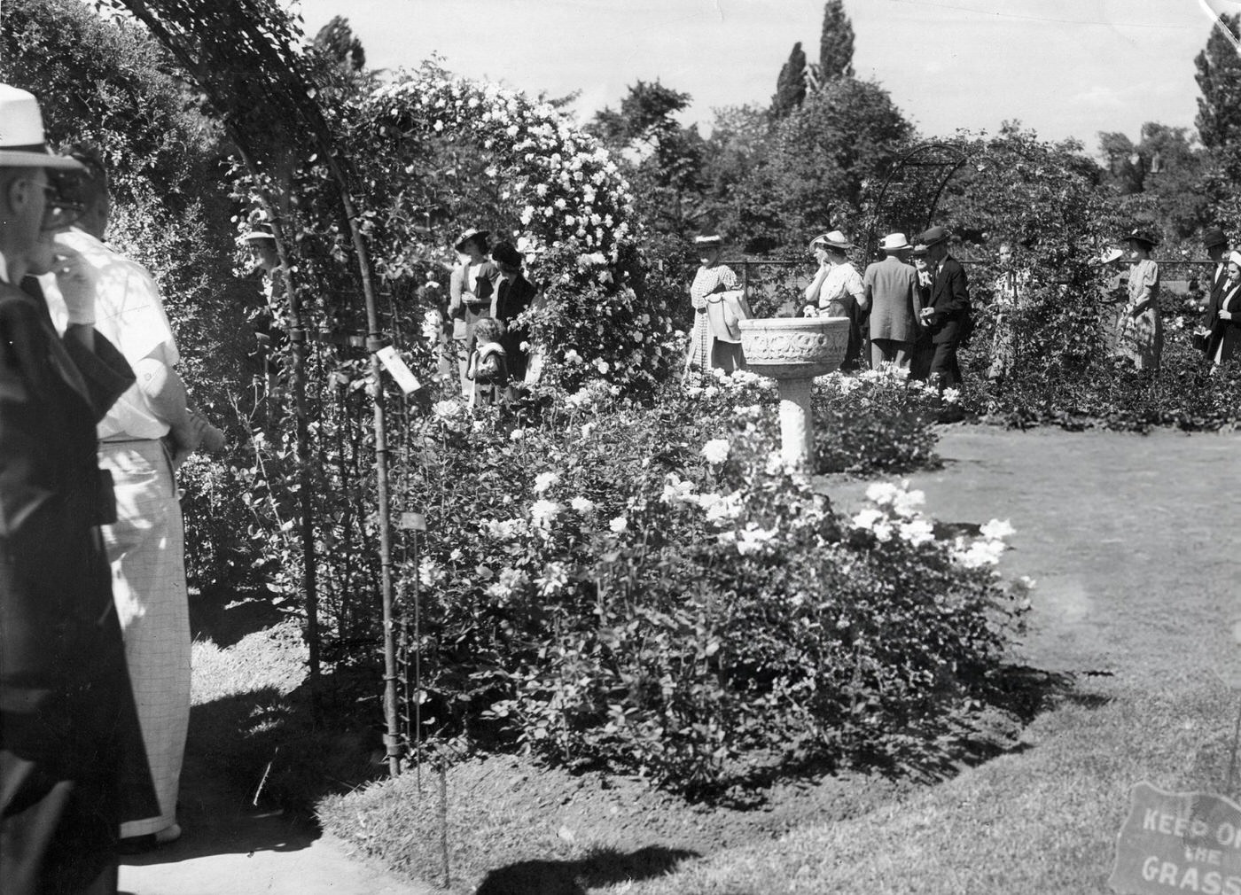 A crowd views the blooms at the Back Bay Fens in Boston on Rose Sunday, 1940.
