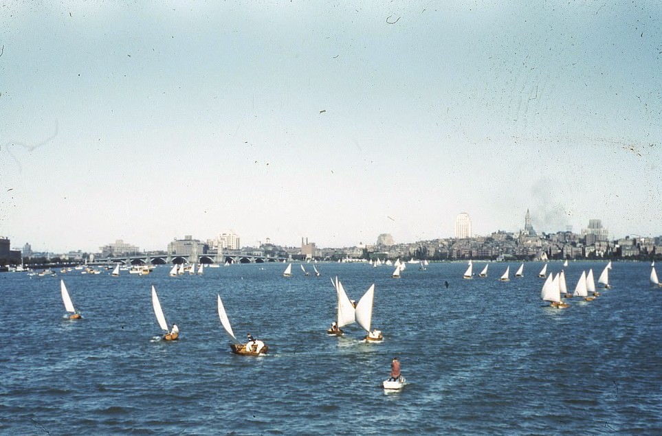 Charles River Sailboats