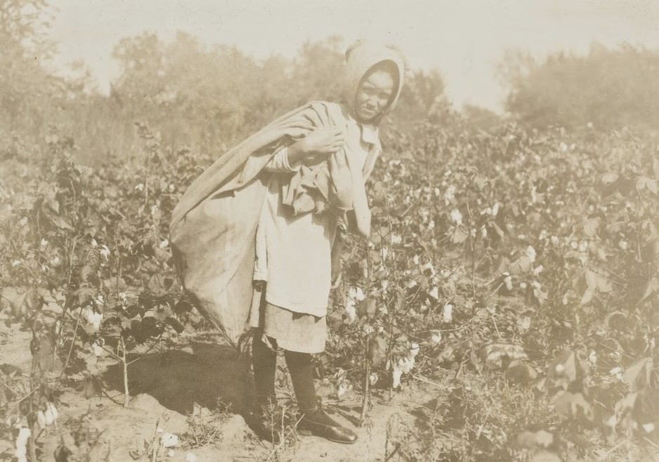 Cleo Campbell, 9 years old, picks 75 to 100 pounds of cotton a day. Expects to start school soon. Said: "I'd ruther go to school and then I wouldn't have ter work." Father said she and her sister begin about 6 A.M. and work until 6 or 7 P.M. with 1 1/2 hours off at noon. Potawotamie, Oklahoma, USA 1916.