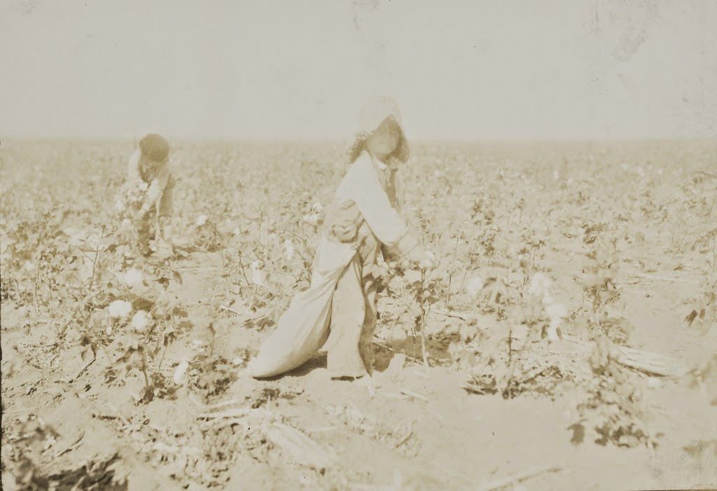 Mart Payne, 5 years old, picks from 10 to 20 pounds a day. Mother said: "Mart, he haint old nuff to go to school much, but he kin pick his 20 pounds a day. Mostly 10 or 15 pounds." Comanche County, Oklahoma.