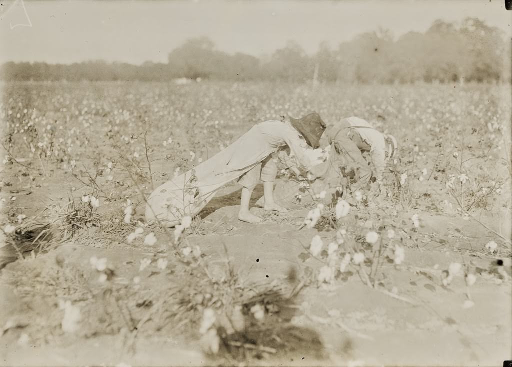All these children five years, six years, seven years, nine years and two a little older, were picking cotton on H.M. Lane's farm Bells, Texas, USA 1913.