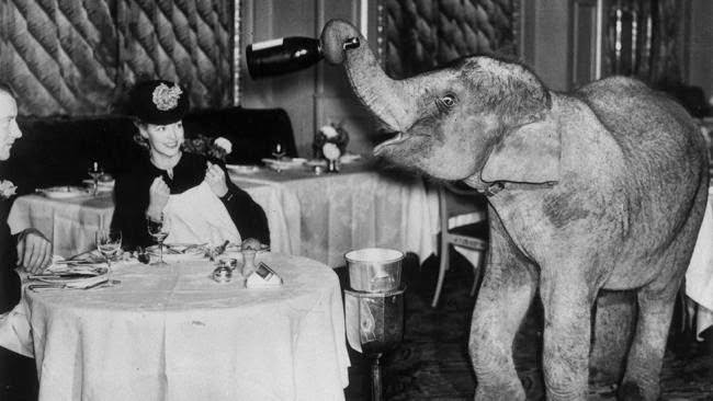 Comet, an elephant from Chessington Zoo spends the weekend as a waiter at the Trocadero Restaurant in Piccadilly Circus, London, 1938.