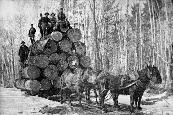 Wisconsin Historical Images Horses Pulling Logs