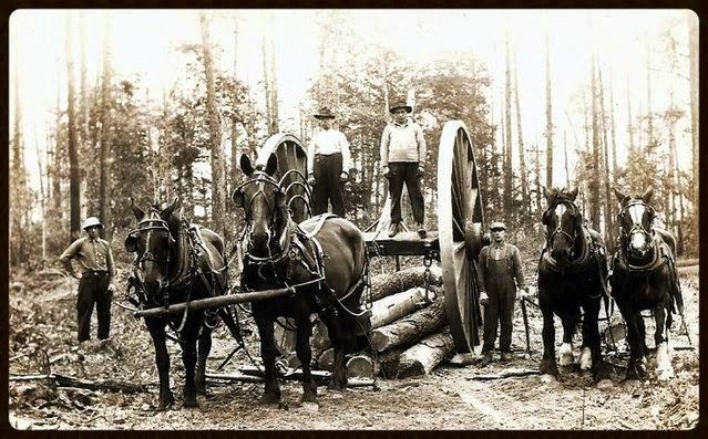 Before Tractors and Trucks: How Draft Horses Drove America’s Growth in the Early 20th Century