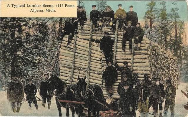 Before Tractors and Trucks: How Draft Horses Drove America’s Growth in the Early 20th Century