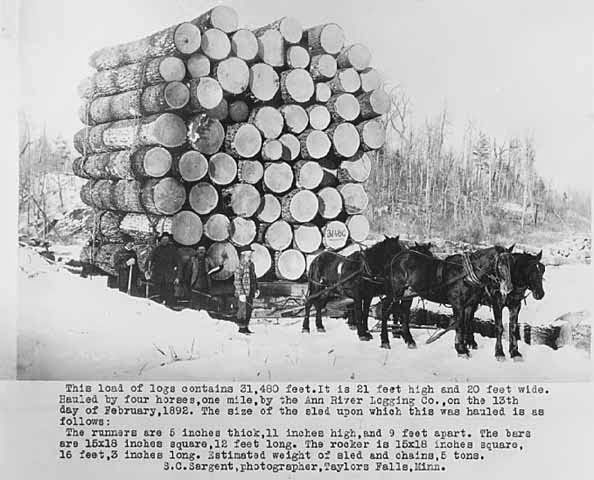 Before Tractors and Trucks: How Draft Horses Drove America’s Growth in the Early 20th Century