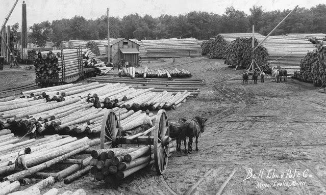 Horses pulling sledge loaded with logs in Bell Lumber & Pole and Bell Timber Inc.
