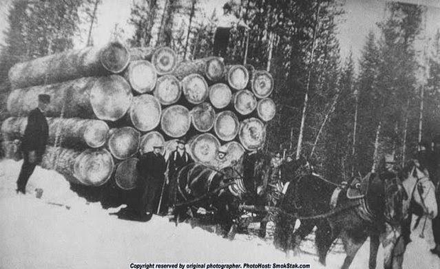 Motichka Logging of the Flathead Valley in Montana is shown with 18,000 feet of logs on this log hauling bobsled. Photo is courtesy of my friend Myron Motichka